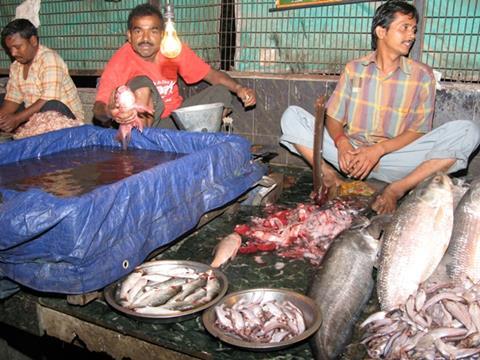 Is fish trash like this across Asia for a great soup or blue skies science?