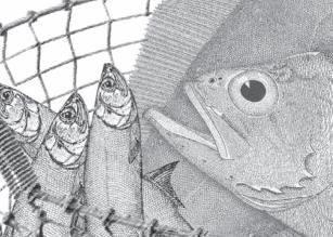 The Environmental Defense Fund has developed a manual to help European fisheries reduce discards