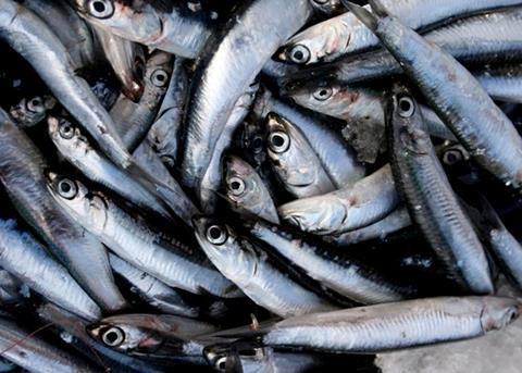 New regulations governing the management of the northern subpopulation of northern anchovy are illegal