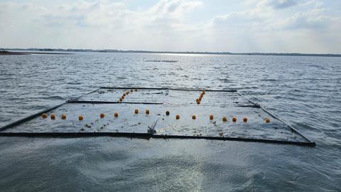 Seaweed Raft grids deployed along Indo-Pak border creeks witnessed by Principal Sceretary to PM