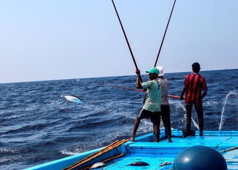 Greenpeace has asked retailers to stock only pole-and-line caught canned tuna