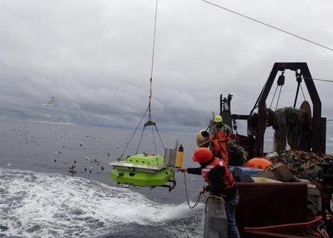 Tracking year-round pollock movement