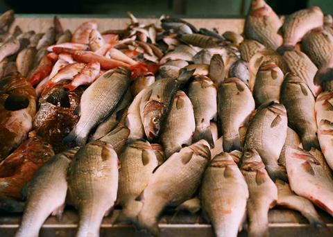 The World Bank grant will fund the work of ocean partnerships in promoting sustainable fisheries and marine biodiversity conservation. Credit: Gregg_TLV/CC BY 2.0, via Wikimedia Commons