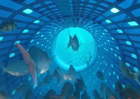 The new PSH fish harvesting method is a potential replacement for traditional fishing methods