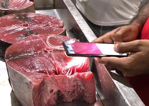 The new smartphone technology can help assess the quality of seafood Photo: GoMicro
