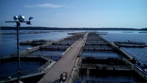 Russian fish farms