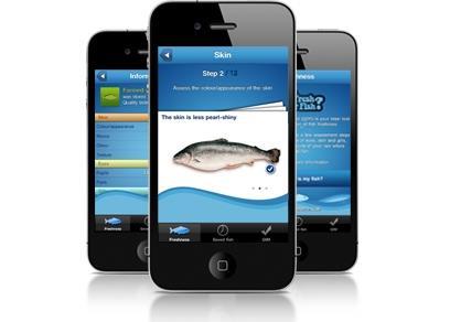 The “How fresh is your fish?” app. ©Nofima