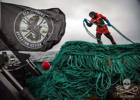 Crew of the ‘Sam Simon’ hauled 72 kilometres of illegal gillnet abandoned by the ‘Thunder’ in Antarctic waters. Credit: Giacomo Giorgi