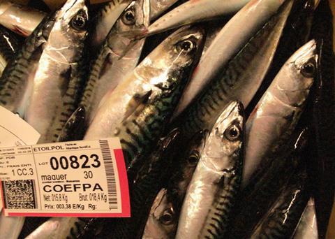 Scottish fishermen will have increased catching opportunities for north-east Atlantic mackerel in 2017