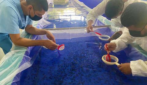 GenoMar Genetics Colombia