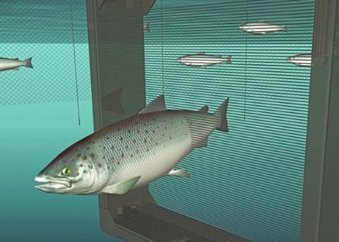 Vaki is focused on the design and manufacture of fish handling, counting and grading solutions