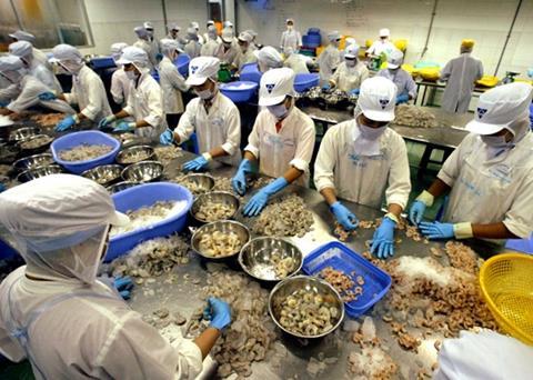 The FAO forecasts that by 2030, two-thirds of the seafood consumed by humans will come from aquaculture