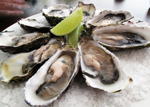 Pacific oysters