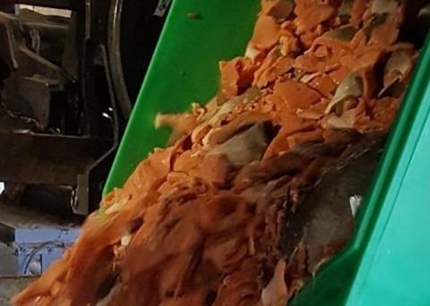 Waste being fed to the Landia pasteuriser Photo: SSC