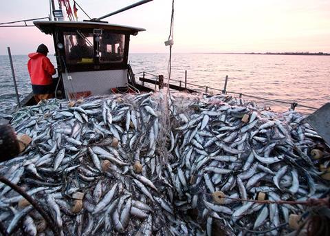 Fishermen will have until 2017 to adapt to the new discard ban rules ©BELGA/dpa/C.Charisius