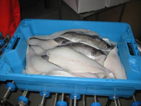 15kg fish box