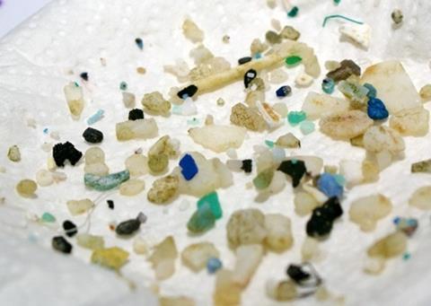 Micro-plastic fragments from the western North Atlantic, collected using a towed plankton net. Photo: Giora Proskurowski, Sea Education Association (SEA)