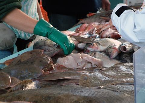 What the seafood sector wants from Brexit