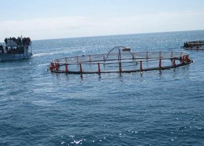 Offshore fish farm visit at OSM 2014