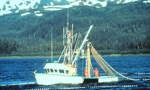 A salmon purse seiner in Prince William Sound, Alaska.