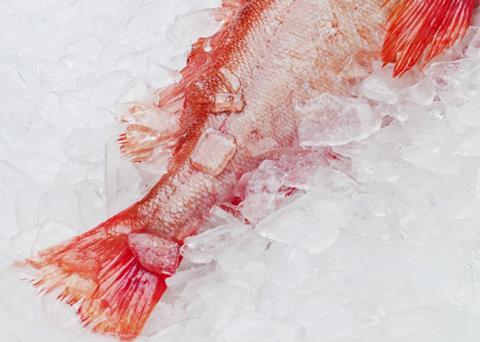 The unit of certification includes the Icelandic Golden redfish commercial fishery