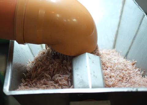 Tharos at sea trial - raw fresh krill arriving to the pilot plant