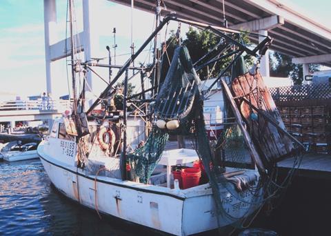 NFWF has announced its latest grants. Credit: William B. Folsom/NMFS