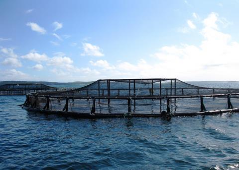 Scotload’s load links