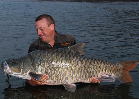 The humpback mahseer is now believed to be so endangered it may be extinct in the wild within a generation