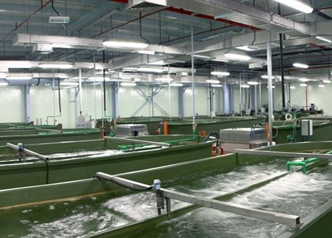 The Royal Caviar Company hatchery