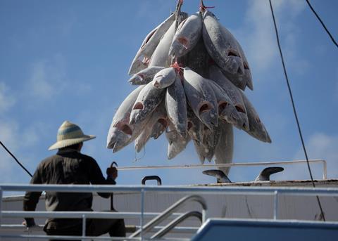 Greenpeace hopes the IOTC will improve records of vessels fishing for tuna. Photo: Jiri Rezac/Greenpeace