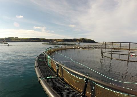 Fish pens at Marine Harvest’s new farm on the Isle of Muck