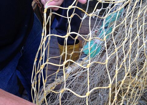 D16 netting after 14 months fishing