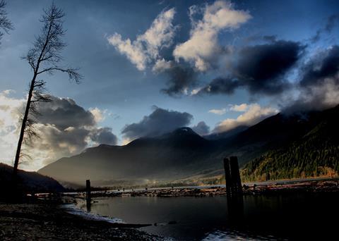 No evidence of ISA or IPN has been found in wild salmon on the west coast of Canada. Credit: Todd Gordon Brown/ CC-BY-SA-3.0, via Wikimedia Commons