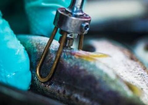 Bursaries support industry research and development Photo: MSD Animal Health UK