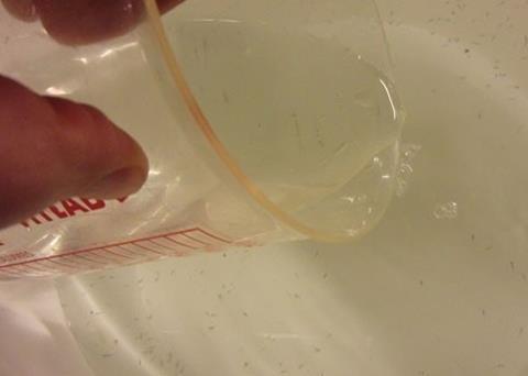 DTU says that healthy food may alleviate stress among farmed fish