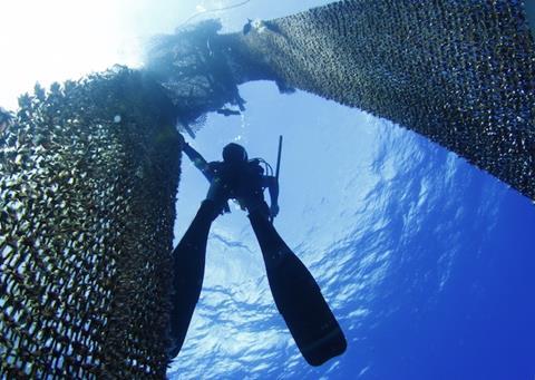 ISSF has released its position statement