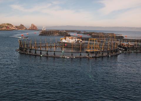 Hatch: Calling aquaculture innovators