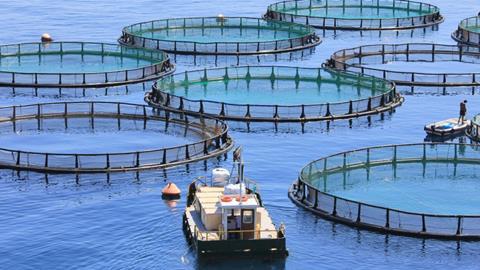 EU aquaculture
