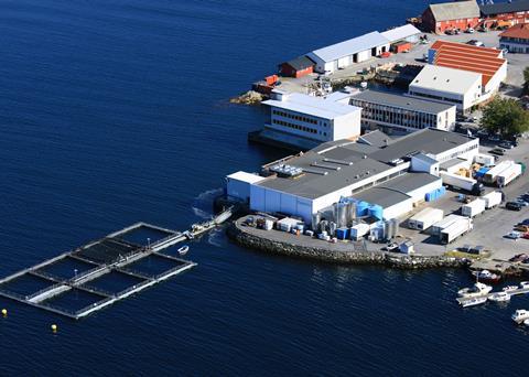 Slakteriet has ordered a complete grading and packing system from Valka
