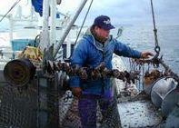 Hokkaido's scallop fishery with hanging cultivation (Suika-shiki)