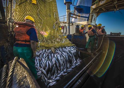 The trawl hake fishery is now said to be South Africa’s most important commercial fishery. Photo: Marine Stewardship Council