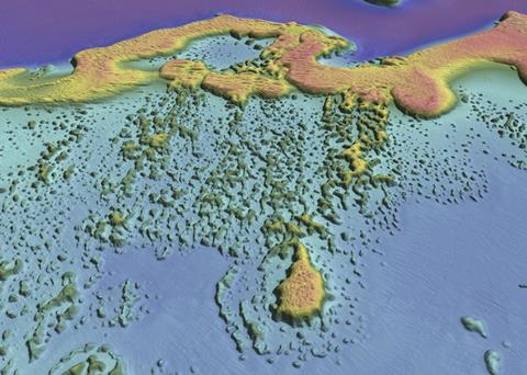 The Darwin Plus project will assess the current stock of conch and spiny lobsters in the Anegada Horseshoe Reef Fisheries Protected Area