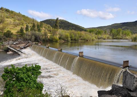 Dams have led to a decline in the abundance of long distance migratory fish. Photo: Finetooth