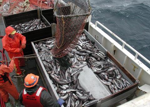 The U.S. House of Representatives has passed legislation reauthorising the Magnuson-Stevens Fishery Conservation and Management Act. Credit: NOAA