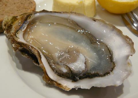 SAGB has produced the London Oyster Guide