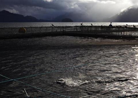 “This research will improve our understanding of how wild and cultured salmon interact in the environment,” said Dr Don Noakes, Dean of Science at Vancouver Island University. Photo courtesy of the BC Salmon Farmers Association