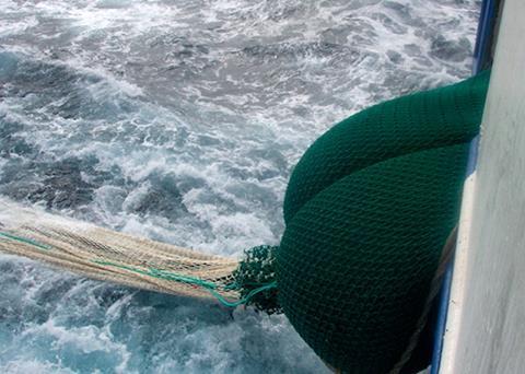 Aquaculture seeks new protein sources