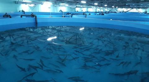 Fish Farming Tanks
