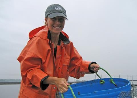 Aquaculture extension educator Tessa Getchis sorts a bushel basket of oyster seed that is ready to be planted in the Sound. Credit: Sea Grant